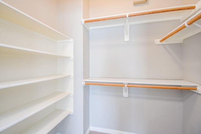 5615 Winsome Ln Unit C, Houston, TX 77057 - view of walk in closet