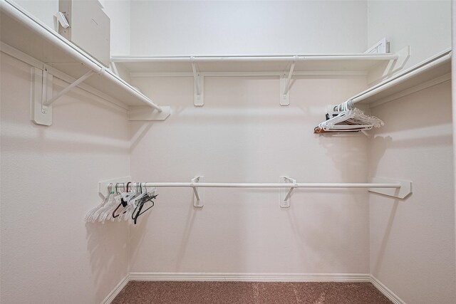 30606 S Sulphur Creek Dr, Magnolia, TX 77355 - spacious closet with carpet flooring