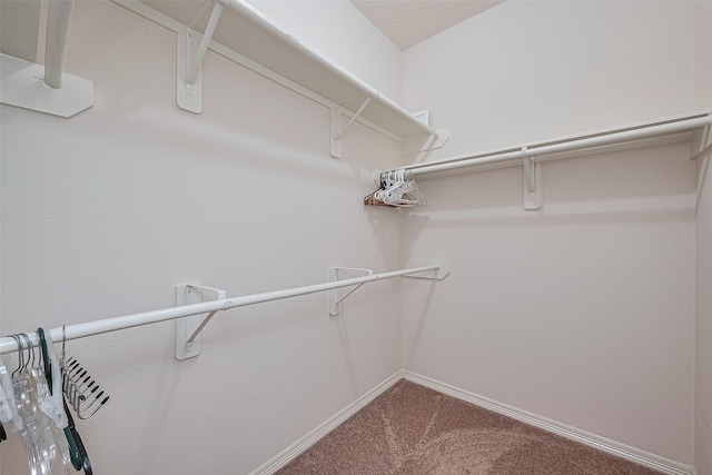 30606 S Sulphur Creek Dr, Magnolia, TX 77355 - spacious closet featuring dark colored carpet