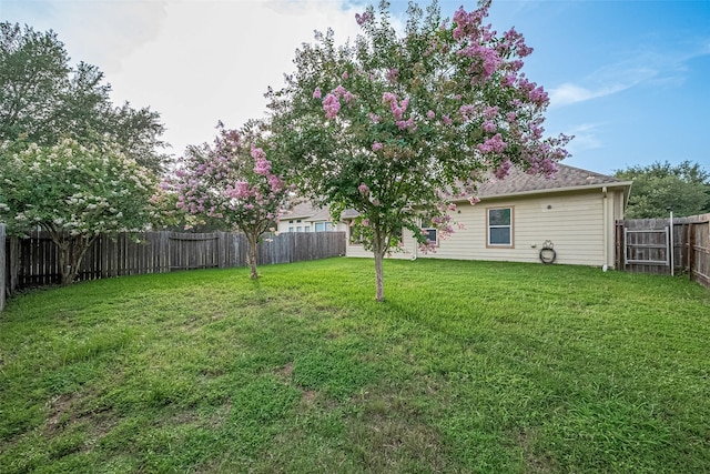 30606 S Sulphur Creek Dr, Magnolia, TX 77355 - view of fenced backyard