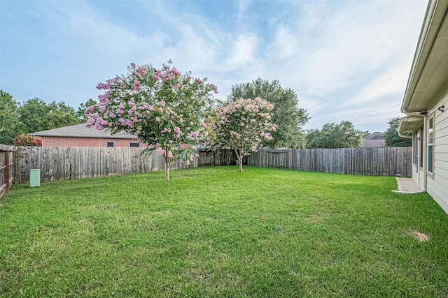 30606 S Sulphur Creek Dr, Magnolia, TX 77355 - view of fenced backyard