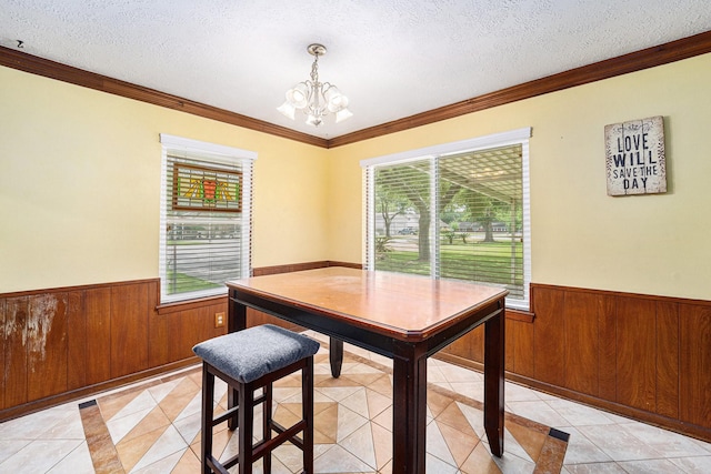 2505 Mary Ave, Pearland, TX 77581 - home office featuring wainscoting, light tile patterned floors, a chandelier, wooden walls, and plenty of natural light