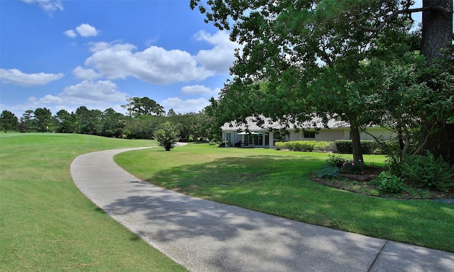 6002 Coral Ridge Rd, Houston, TX 77069 - photo 41