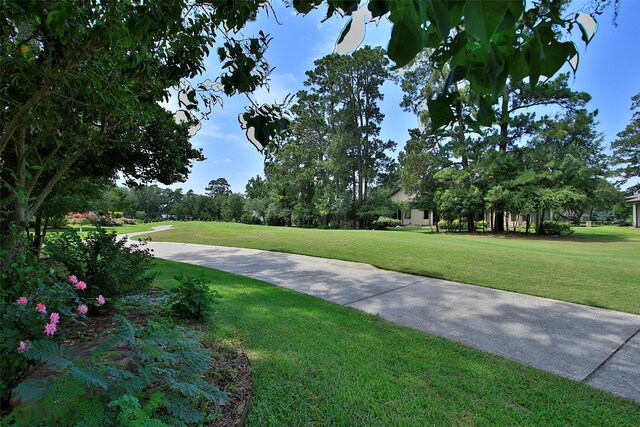 6002 Coral Ridge Rd, Houston, TX 77069 - photo 46