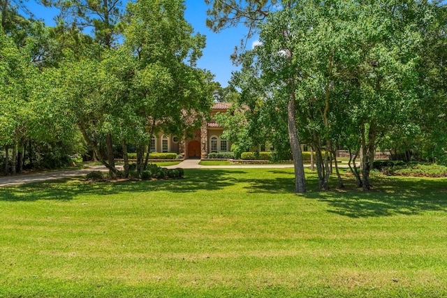 4022 Hidden Winds Dr, Spring, TX 77386 - view of green lawn