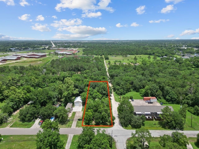 8602 Schiro Rd, Hitchcock, TX 77563