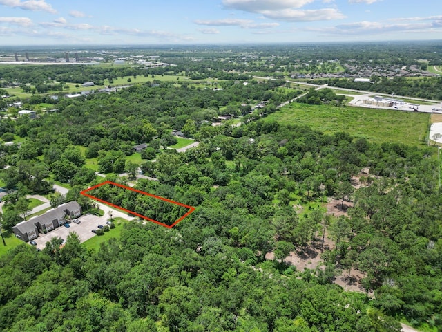 8602 Schiro Rd, Hitchcock, TX 77563
