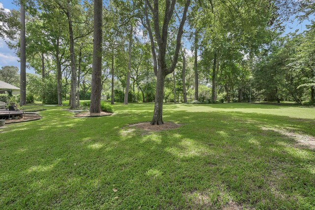 21815 Fearless Dr, Hockley, TX 77447 - photo 34