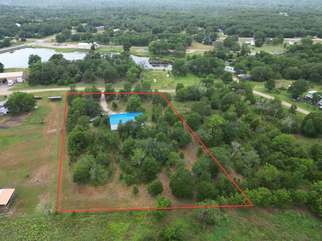 403 Beaver Lndg, Caldwell, TX 77836 - photo 34