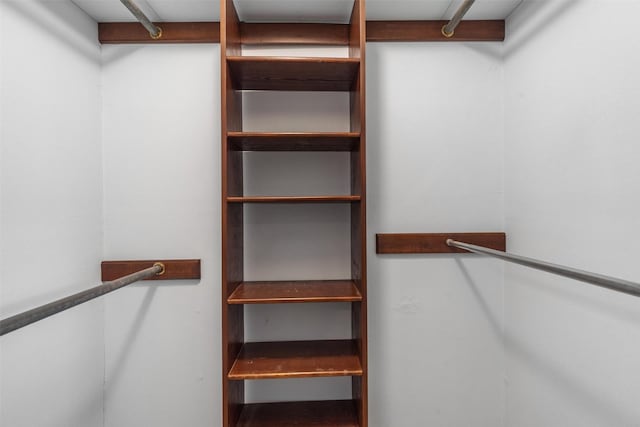 2718 Stratford St, Pearland, TX 77581 - view of walk in closet