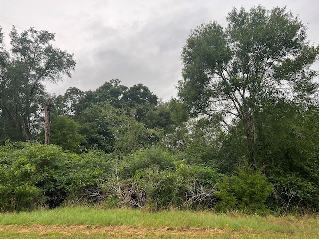 1415 25th St, Hempstead, TX 77445