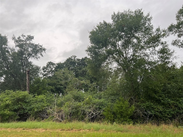 1415 25th St, Hempstead, TX 77445