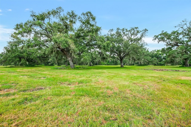 730 Rancho Chico Ct, Angleton, TX 77515 - photo 2