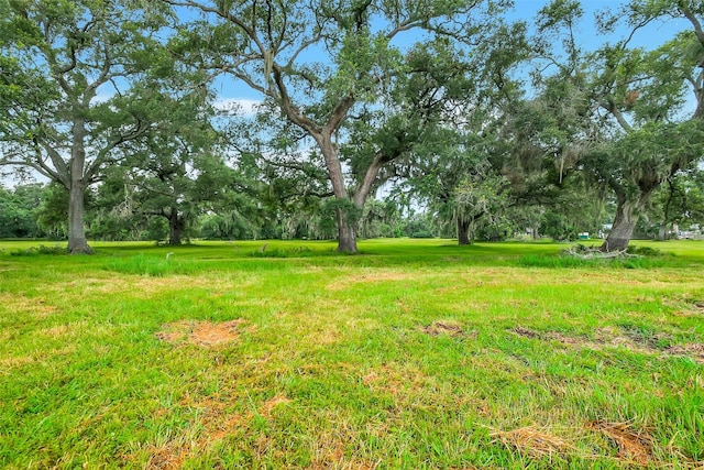 730 Rancho Chico Ct, Angleton, TX 77515 - photo 3