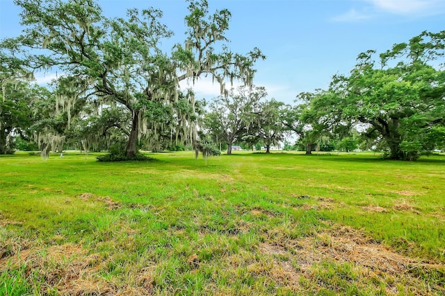 730 Rancho Chico Ct, Angleton, TX 77515 - photo 4