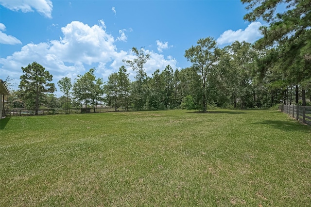 9198 Sierra Del Carmen, Conroe, TX 77303 - view of yard