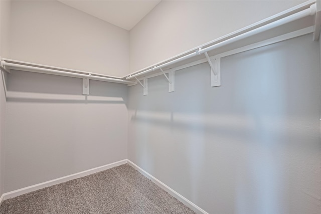 13503 Harefield Hollow Trl, Houston, TX 77049 - photo 29