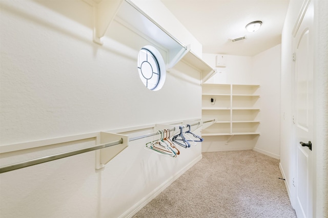 26150 Crown Ranch Blvd, Montgomery, TX 77316 - spacious closet with carpet