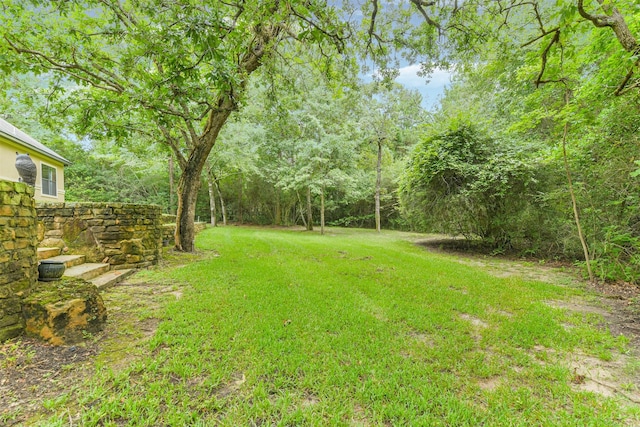 26150 Crown Ranch Blvd, Montgomery, TX 77316 - view of green lawn featuring a view of trees