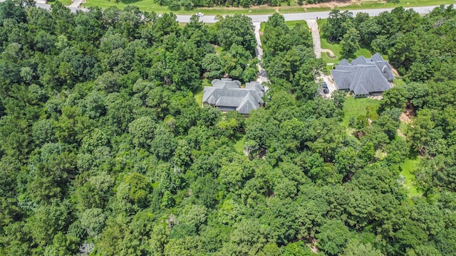 26150 Crown Ranch Blvd, Montgomery, TX 77316 - aerial view of property's location