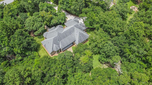 26150 Crown Ranch Blvd, Montgomery, TX 77316 - view from above of property