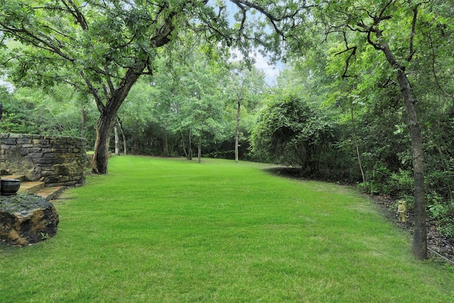 26150 Crown Ranch Blvd, Montgomery, TX 77316 - view of green lawn with a forest view