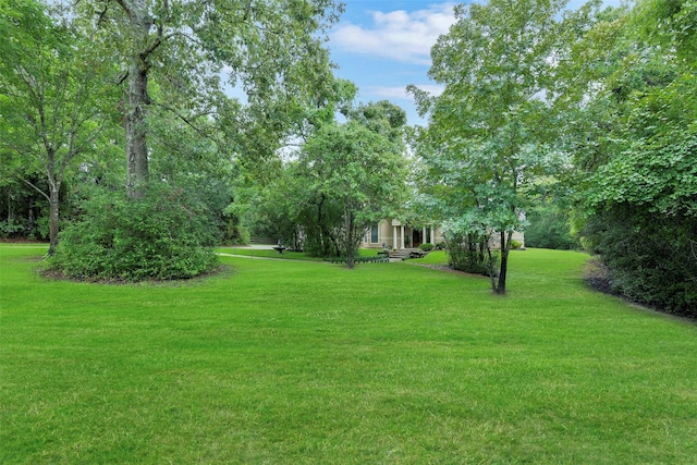 26150 Crown Ranch Blvd, Montgomery, TX 77316 - view of green lawn