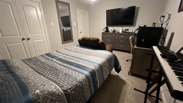 2514 Creekleaf Rd, Houston, TX 77068 - bedroom with light colored carpet and a closet
