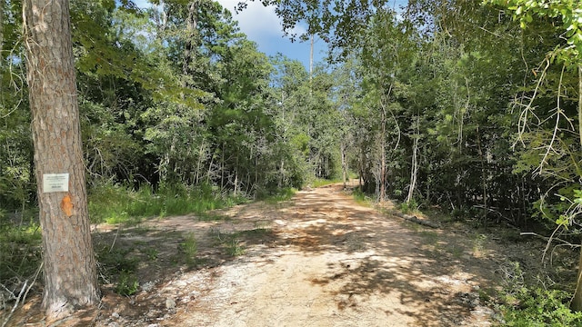 2161 Fostoria Tram Rd, Cleveland, TX 77328
