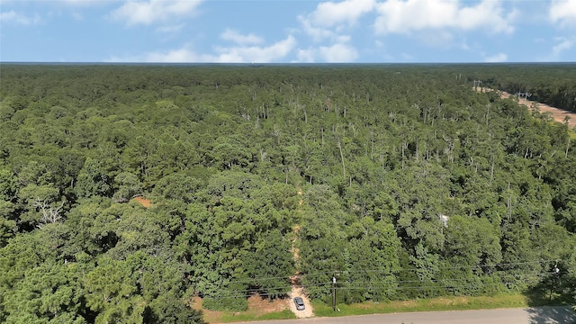 2161 Fostoria Tram Rd, Cleveland, TX 77328