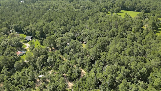 2161 Fostoria Tram Rd, Cleveland, TX 77328