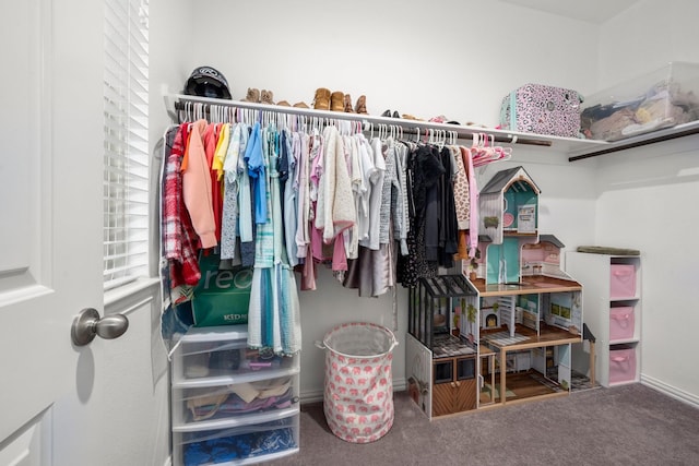29522 Westhope Dr, Spring, TX 77386 - spacious closet with carpet flooring