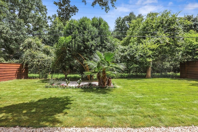 4543 Warm Springs Rd, Houston, TX 77035 - view of yard