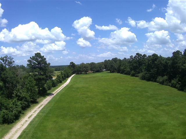 2264 N Fm 1486th Rd, Montgomery, TX 77356