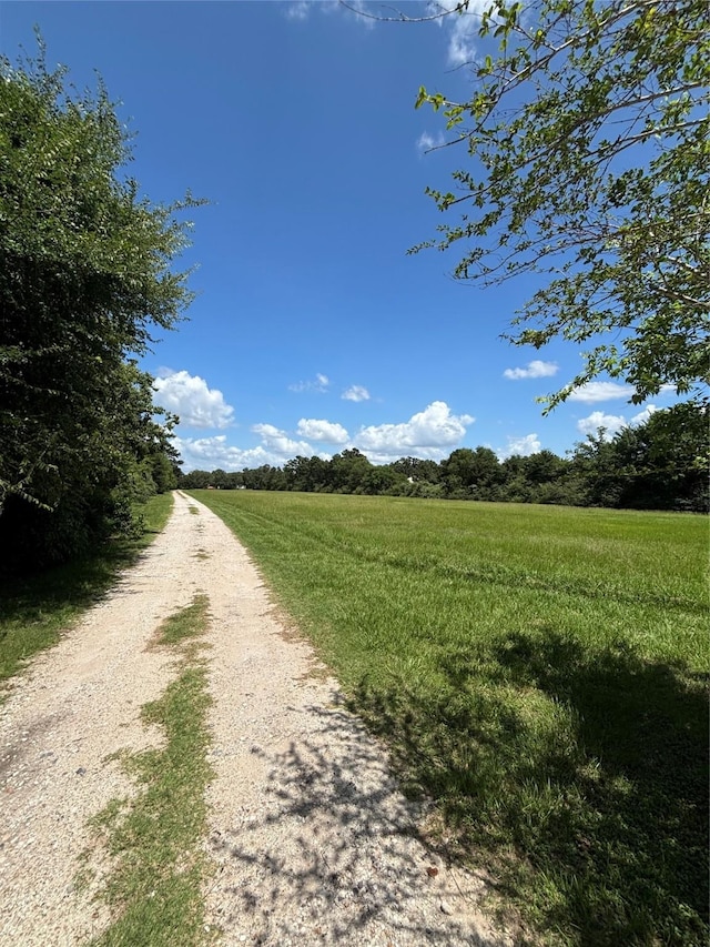 2264 N Fm 1486th Rd, Montgomery, TX 77356