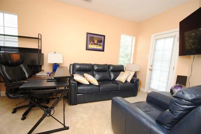 2731 Lakeside Village Dr, Missouri City, TX 77459 - photo 30
