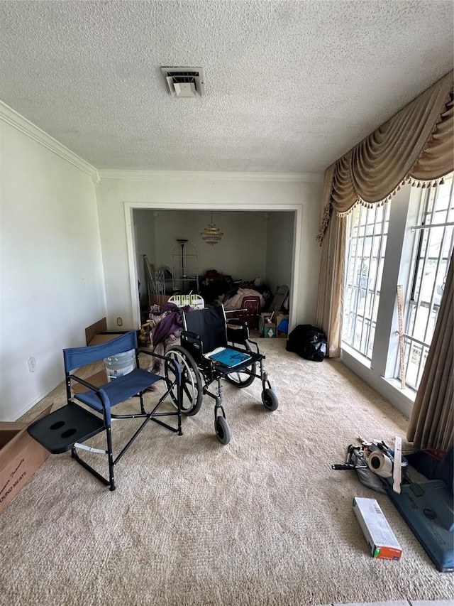 6206 Antha St, Houston, TX 77016 - workout area featuring crown molding, carpet flooring, and a textured ceiling