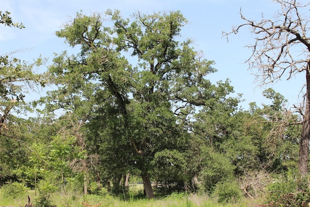 2547 Bob Mathews St, Bedias, TX 77831 - photo 26