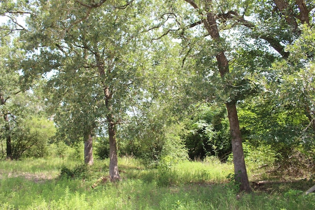 2547 Bob Mathews St, Bedias, TX 77831 - photo 27