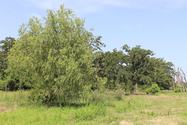 2547 Bob Mathews St, Bedias, TX 77831 - photo 37