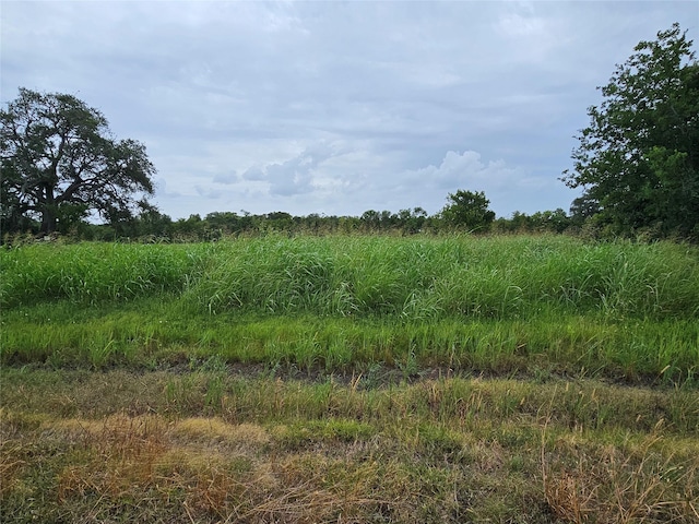 382 Pony Trl, Angleton, TX 77515