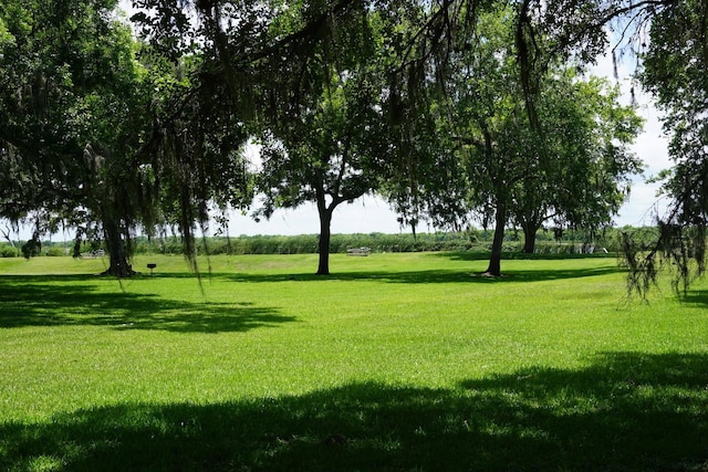 382 Pony Trl, Angleton, TX 77515