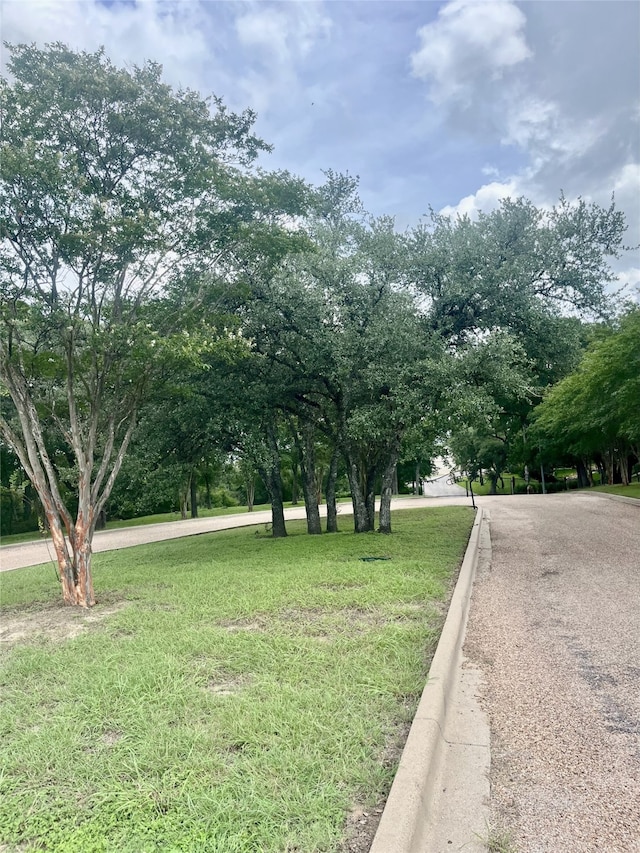 111 Kathleen, La Grange, TX 78945 - photo 6