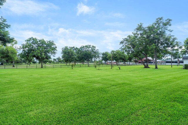 9827 Fm 2759th Rd, Richmond, TX 77469 - photo 50