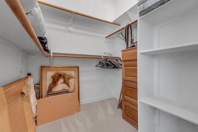 12715 Havant Cir, Houston, TX 77077 - spacious closet with carpet floors