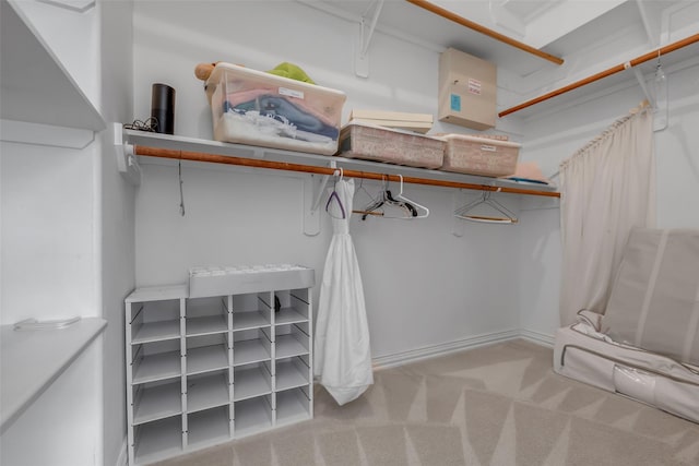 12715 Havant Cir, Houston, TX 77077 - walk in closet featuring carpet