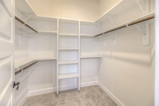 175 Echo Ln, Livingston, TX 77351 - walk in closet with light carpet