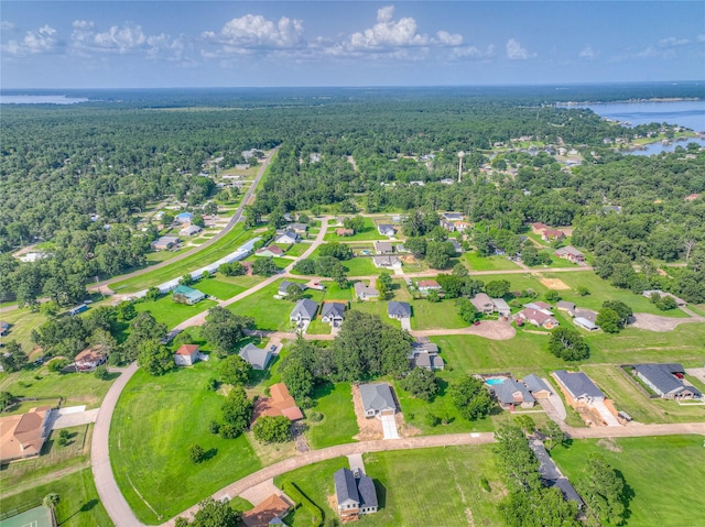 175 Echo Ln, Livingston, TX 77351 - bird's eye view of a forest and a large body of water