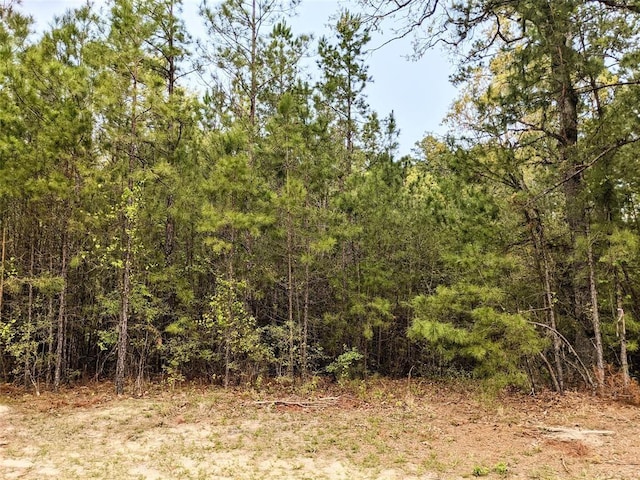 000 Tony Ln, Huntsville, TX 77320 - photo 5