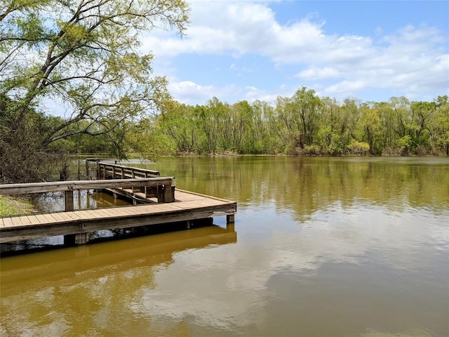 000 Tony Ln, Huntsville, TX 77320 - photo 7